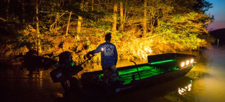 Best Bowfishing Lights: Shedding Light on Your Nighttime Adventure