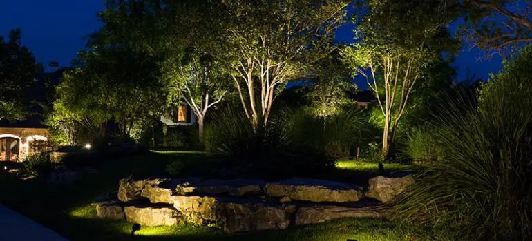 The Best Lights for Uplighting Trees