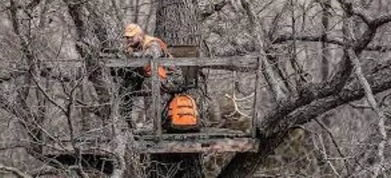 The Ultimate Guide to Choosing the Best Swivel Hunting Blind Chair