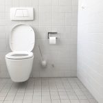 How long after installation can a toilet be used?