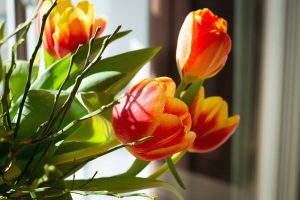 Read more about the article How to Decorate Flowers at Home