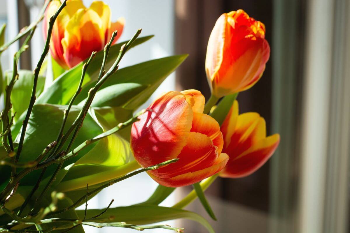 How to Decorate Flowers at Home
