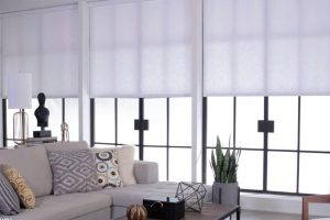 Read more about the article The Shade Store vs Hunter Douglas: Which Window Treatment Brand is Best for You?
