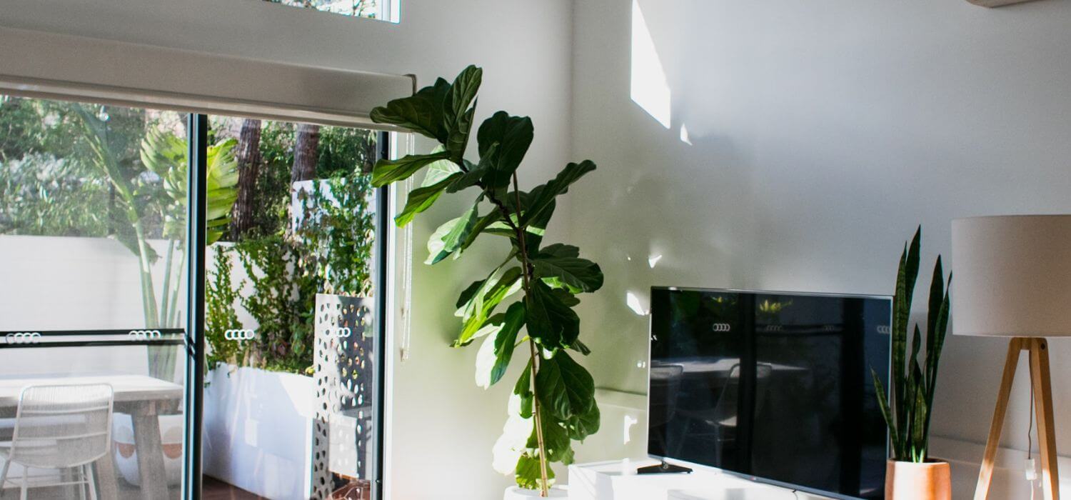 How to Decorate an Archway in Your Home Tips and Ideas