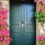 2-Panel Doors vs. 6-Panel Doors: Selecting the Perfect Door for Your Space