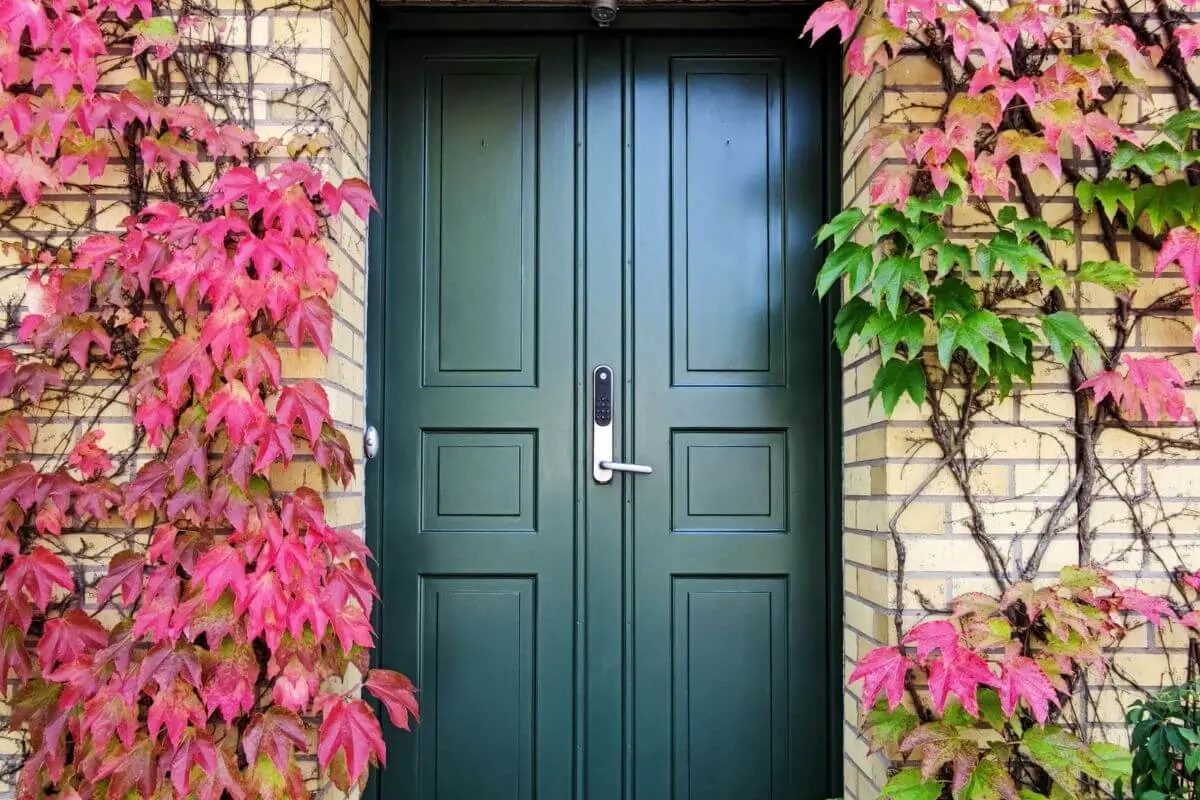 Read more about the article 2-Panel Doors vs. 6-Panel Doors: Selecting the Perfect Door for Your Space