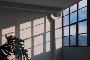 Read more about the article Sunrise Windows vs. Andersen: Which Window Brand Should You Choose?