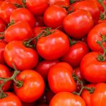 Celebrity Tomato vs. Better Boy: Choosing the Perfect Tomato for Your Garden