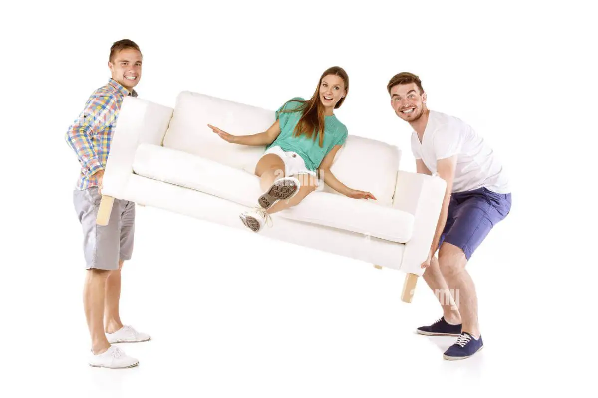 Coaster Furniture vs. Ashley Choosing the Perfect Furniture for Your Home