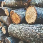 Pressure Treated Lumber: Home Depot vs. Lowe’s – Where to Buy Quality Wood
