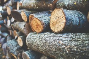 Read more about the article Pressure Treated Lumber: Home Depot vs. Lowe’s – Where to Buy Quality Wood