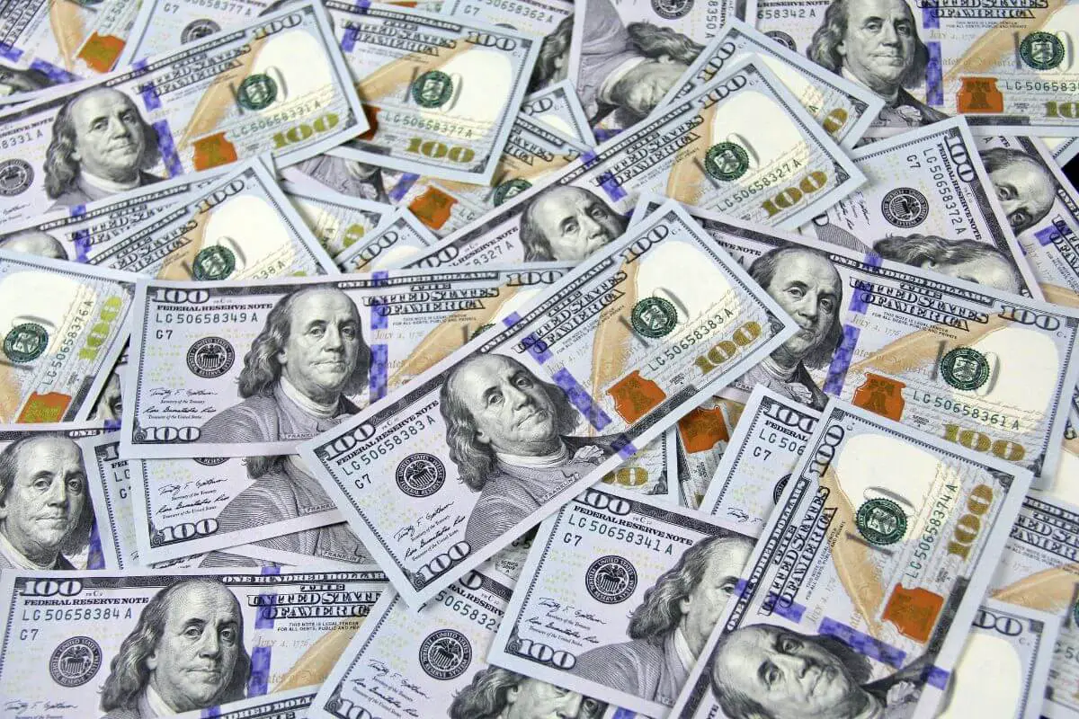 Shrub Hub vs Yardzen Comparing Two Online Landscape Design and Plant