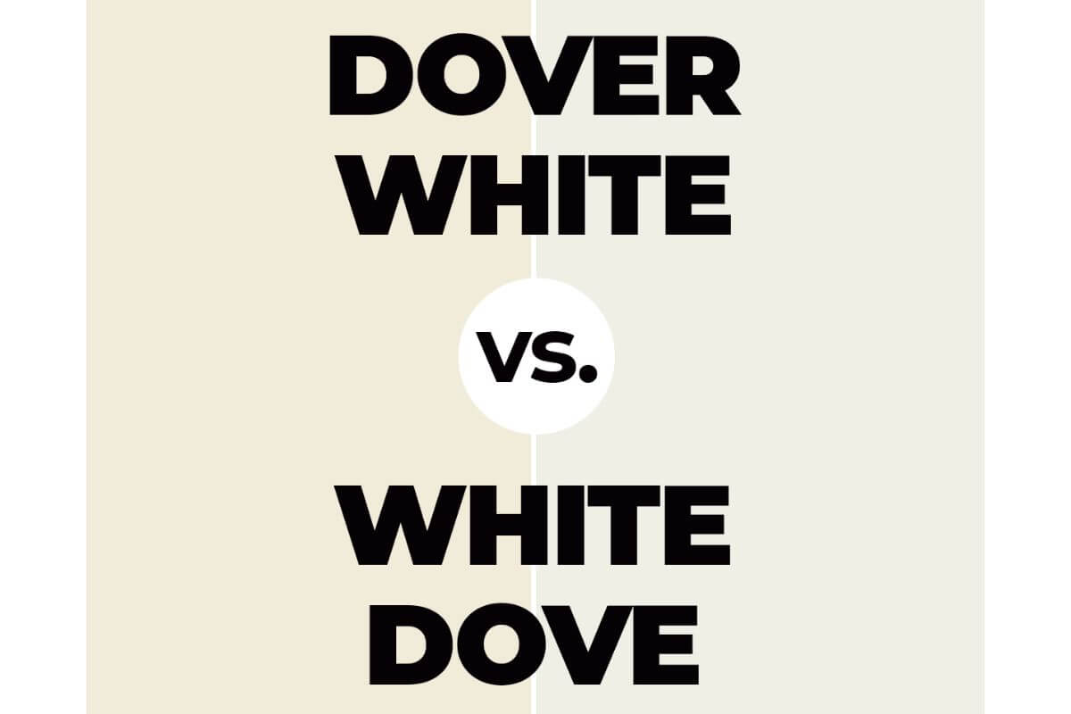 Dover White vs. White Dove: Choosing the Perfect White Paint for Your Home