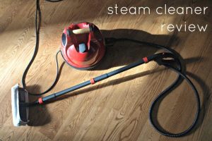 Read more about the article Sargent Steam vs Ladybug: Choosing the Ideal Steam Cleaner