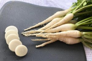 Read more about the article White Icicle Radish vs. Daikon: A Guide to Choosing the Right Radish for Your Culinary Delights