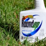 Crossbow vs. Roundup: Choosing the Right Herbicide for Your Needs