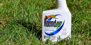 Read more about the article Crossbow vs. Roundup: Choosing the Right Herbicide for Your Needs