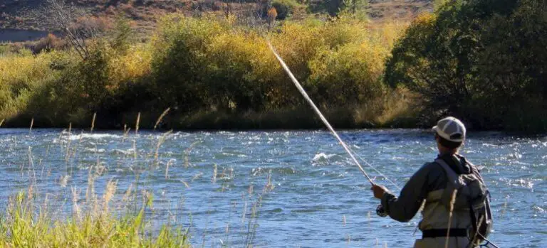 The Ultimate Guide to the Best Fly Fishing Stripping Baskets