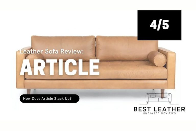 Article vs Poly and Bark Choosing the Perfect Furniture for Your Home