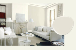Read more about the article Benjamin Moore White Down vs. White Dove: Choosing the Perfect White Paint