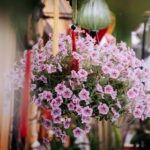 The Best Flowers for Hanging Baskets