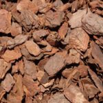Pine Bark Nuggets vs. Mulch: Which is the Best Choice for Your Garden?