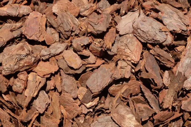 Pine Bark Nuggets Vs. Mulch: Which Is The Best Choice For Your Garden?