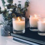 Are Bath and Body Works Candles Safe for Cats? A Comprehensive Guide