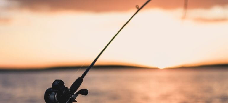 Best Ultra-Light Fishing Rods: A Guide to Ultralight Tackle for Anglers