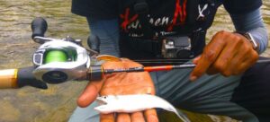 Read more about the article Best Baitcaster for Light Lures