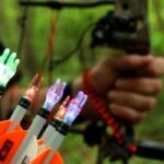 Best Lighted Nocks: Illuminate Your Archery Experience