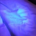 Best UV Light for Bed Bugs