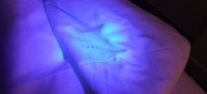 Read more about the article Best UV Light for Bed Bugs