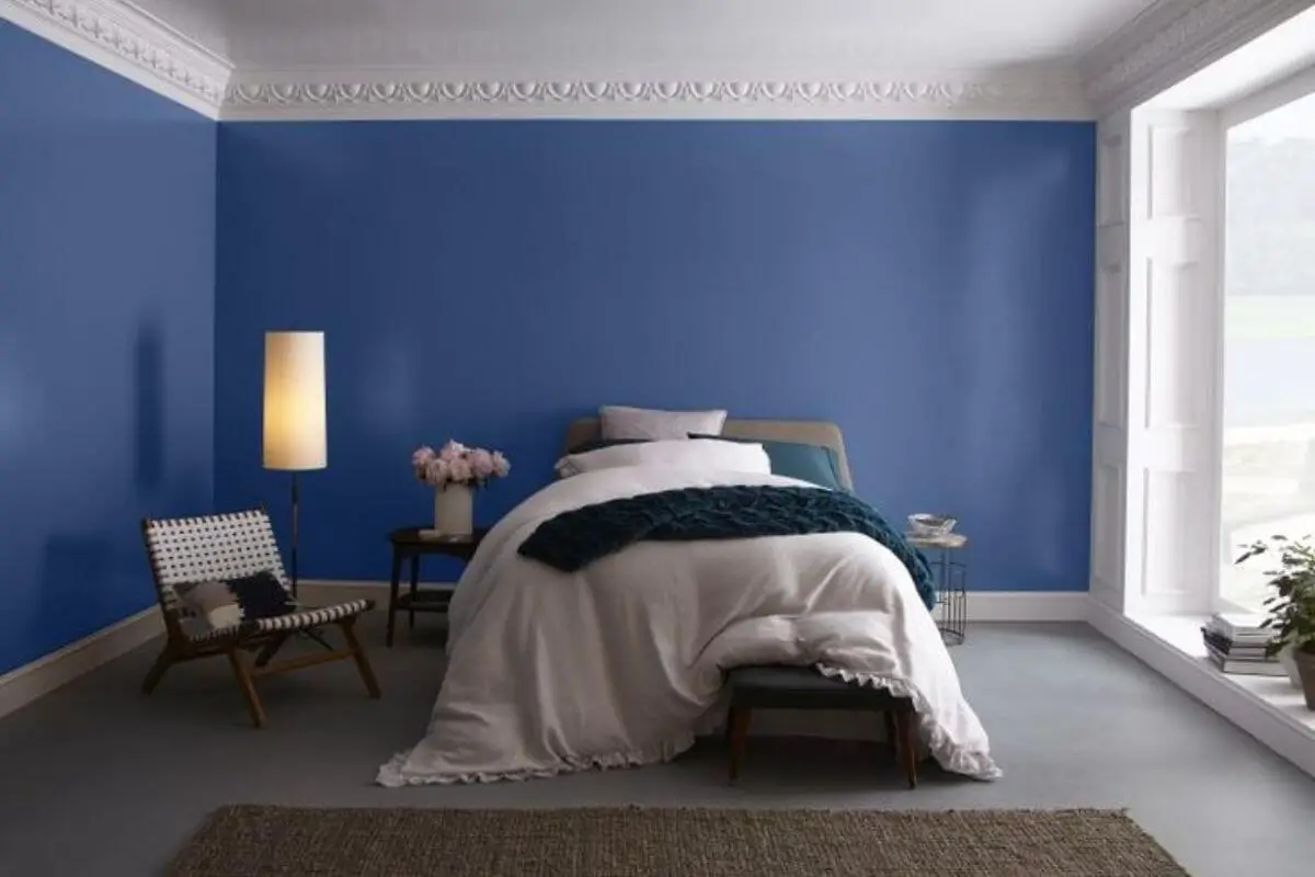 Behr Premium Plus vs. Marquee Which Paint is Right for Your Project?