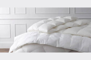 Read more about the article Cuddledown vs. Company Store: Choosing the Perfect Bedding