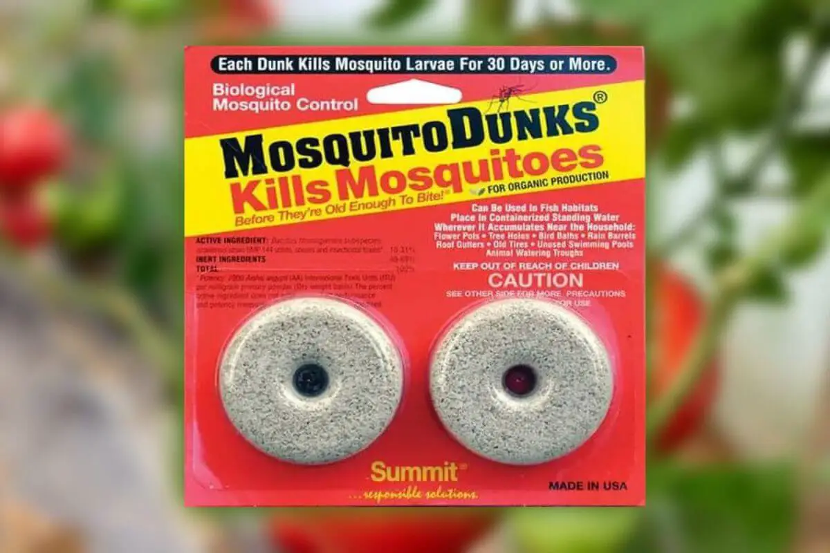 Are Mosquito Dunks Safe for Bird Baths