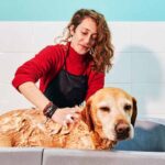 The Labradoodle Lather: Decoding Bathing Frequency for Your Canine Companion