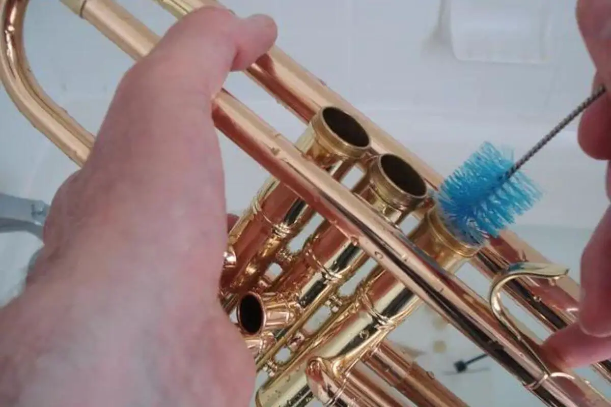 Giving Your Trumpet a Spa Day A Comprehensive Guide to Instrument Bathing