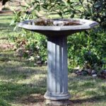 Unveiling the Charm of a Mississippi Bird Bath: A Southern Tradition