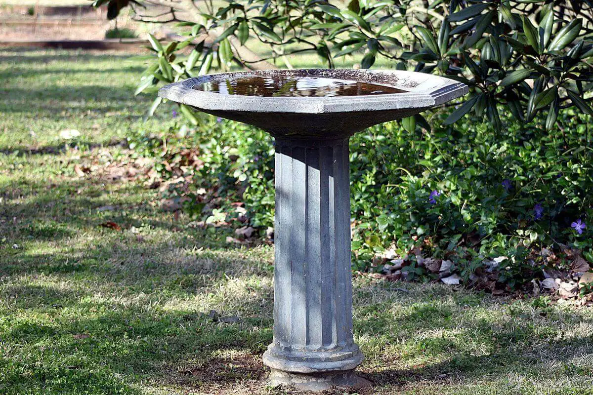 Unveiling the Charm of a Mississippi Bird Bath