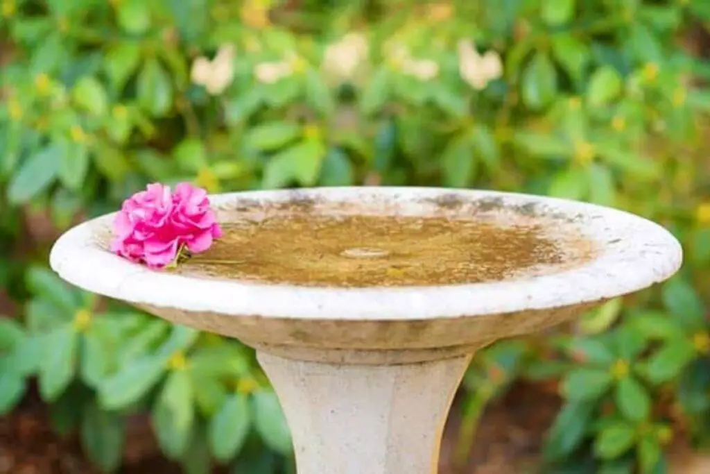 Decoding the Winter Challenge Will Concrete Bird Baths Crack?