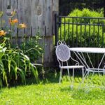 Backyard vs. Yardzen: A Comparative Guide to Outdoor Bliss