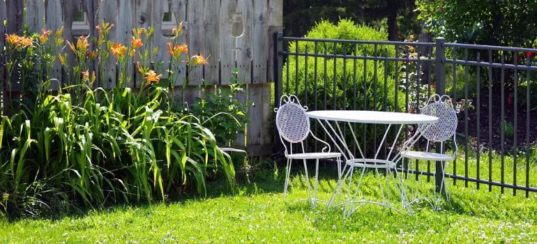Backyard vs. Yardzen A Comparative Guide to Outdoor Bliss
