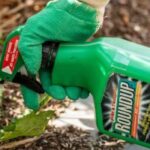 Brush Killer vs Roundup: Choosing the Right Weapon for Weeds