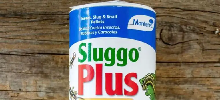In-depth analysis of the ingredients in Sluggo