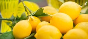 Read more about the article Lisbon vs Eureka Lemon: The Citrus Clash