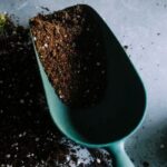 Miracle-Gro Potting Mix vs. Moisture Control: Nourishing Your Garden
