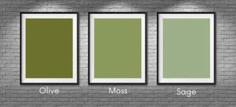 Sage vs Olive Green: Decoding the Hues