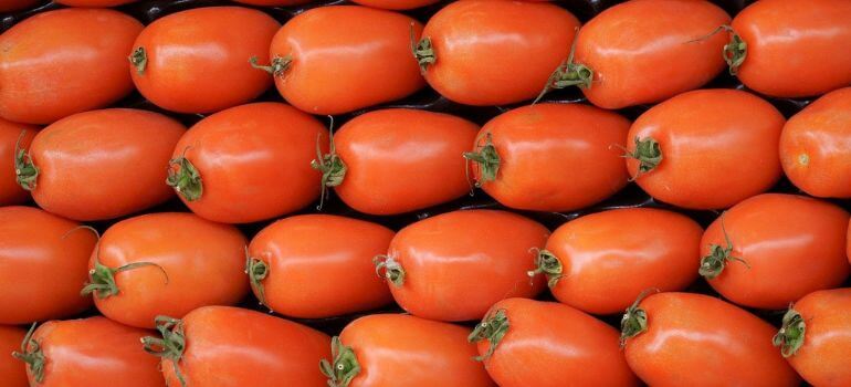 San Marzano Tomato Unveiling the Italian Gem