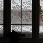 Storm Windows Vs Impact Windows: Ultimate Protection Guide